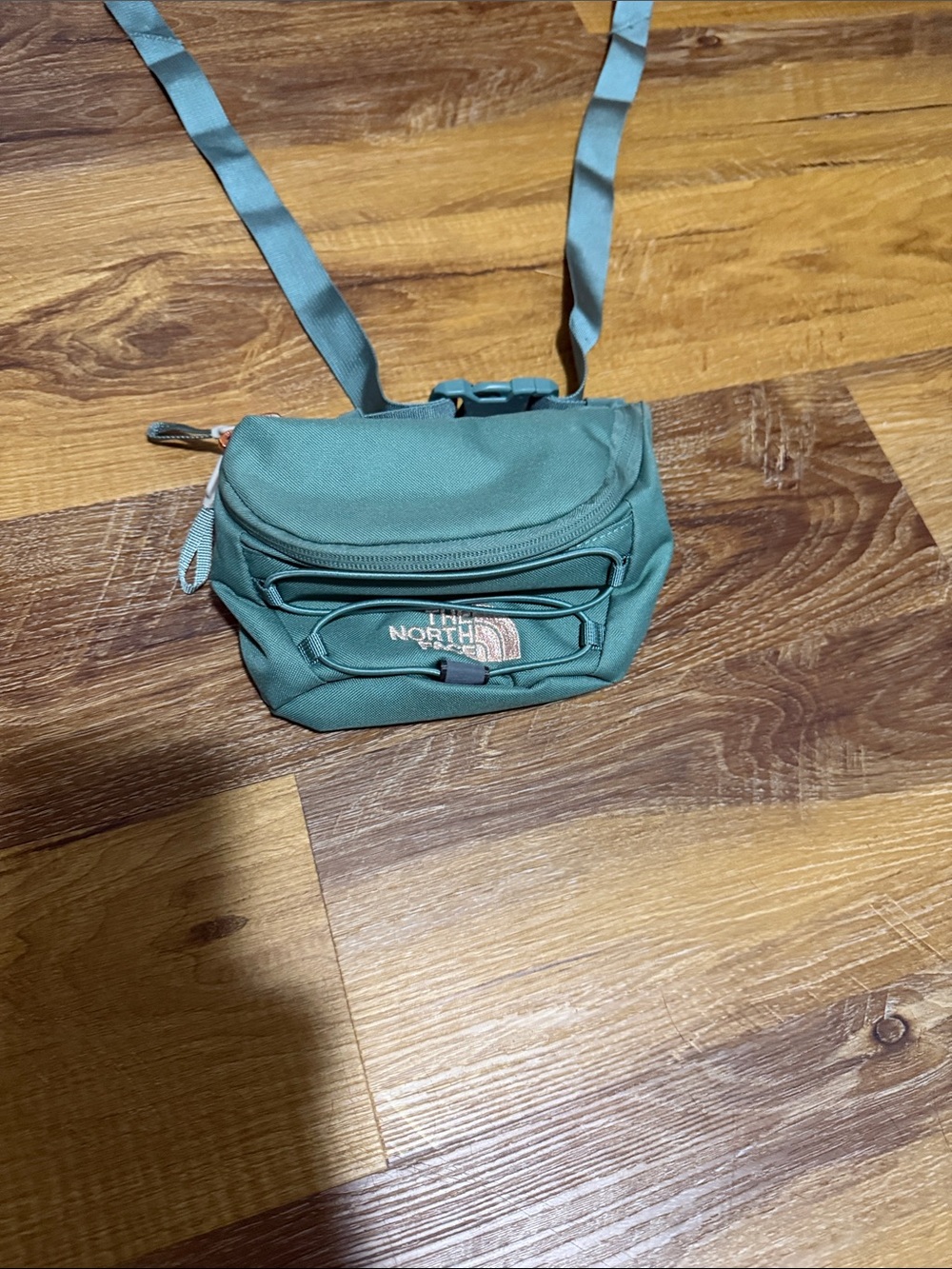 The North Face Green Teal Hip Pack